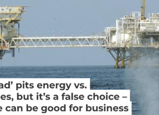 Boat strikes can harm or kill whales and are one concern about the oil industry’s environmental impact. Robyn Beck/AFP via Getty Images